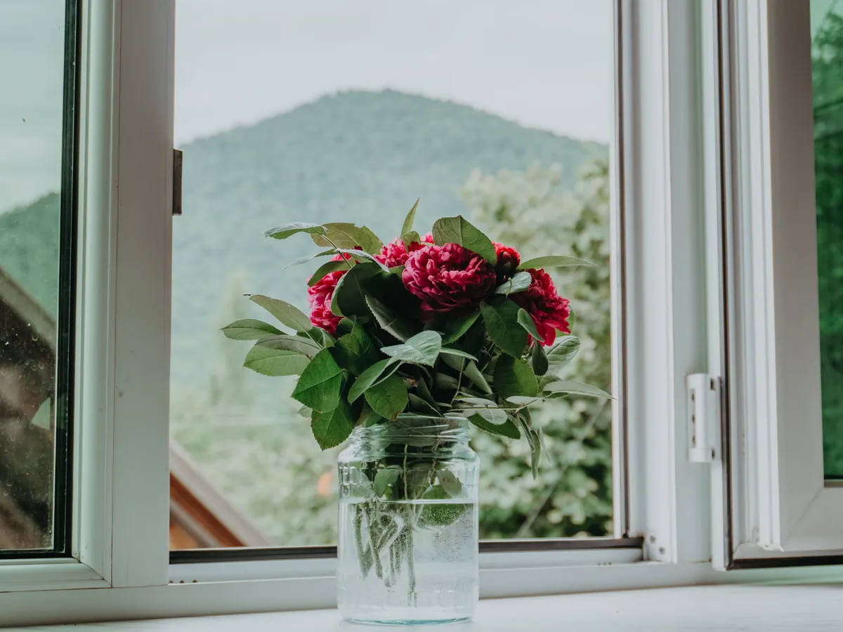 PErvaz Foto: Pexels (imagine cu rol ilustrativ)
