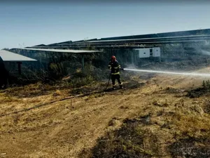 30.000 de panouri fotovoltaice s-au făcut scrum în Giurgiu. De la ce a pornit incendiul? - Foto: captură video