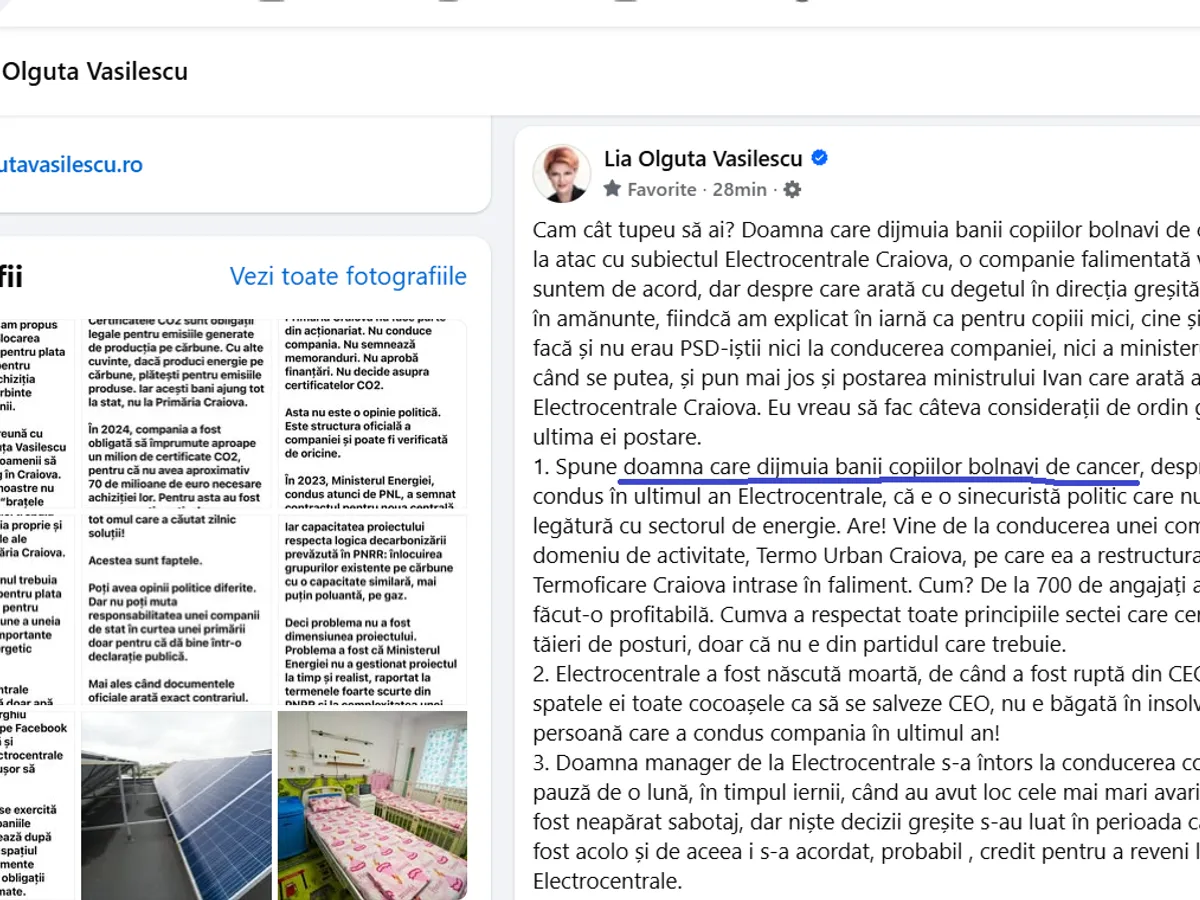 Postare Olguța Vasilescu - Foto: Fb