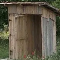 Obligat să sape o toaletă în fundul curții - Foto: ZdI