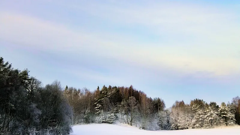 În ce stațiuni din țară a fost inaugurat sezonul de schi. Cât costă o zi de skipass? Foto: Pexels (fotografie cu caracter ilustrativ)