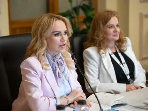 Gabriela Firea: „Aproape 1.000 de copii s-au născut până acum, în programele de susținere FIV” - Foto: Facebook / Gabriela Firea