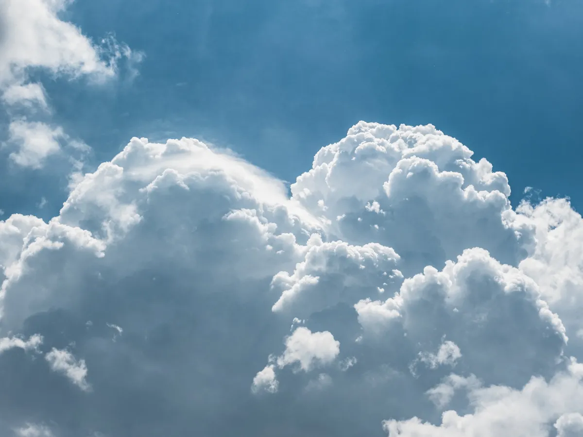 Nori Foto: Freepik (imagine cu rol ilustrativ)