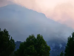 Circa 30 de hectare de vegetaţie şi stufăriş, cuprinse de un incendiu în Prahova - Foto: Profimedia Images (cu rol ilustrativ)