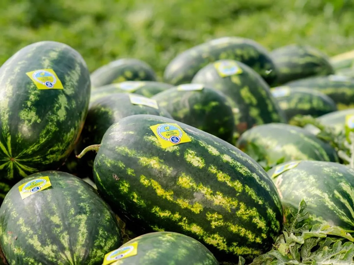 Ce produse locale preferă românii să pună pe masă în timpul verii Foto: Carrefour