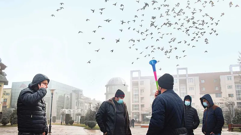 Protestatari angajați ai CEO au pichetat mai multe zile sediul Prefecturii din Târgu Jiu în luna februarie.
