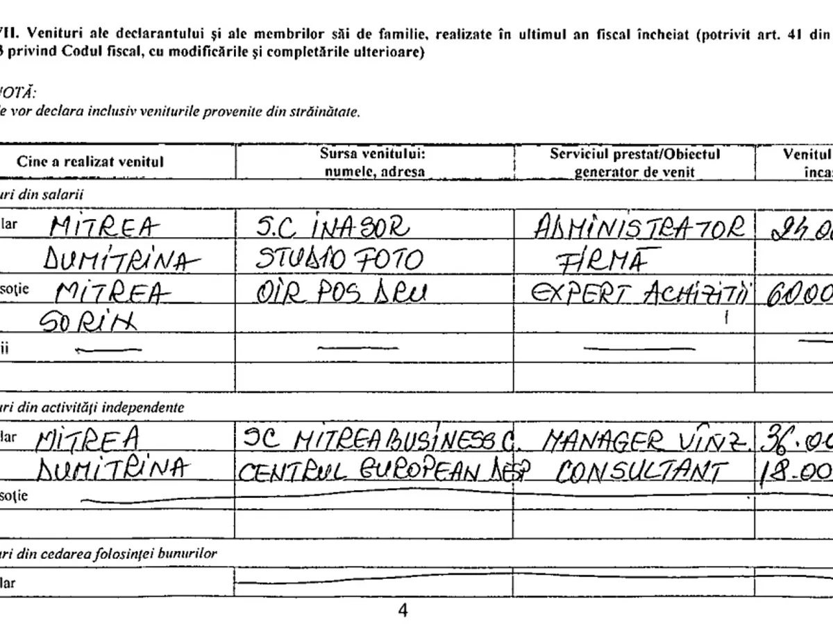 Joburile Dumitrinei Mitrea, din declarația de avere de pe site-ul ANI.