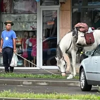 Un chinez a plecat călare în februarie 2022 din Spania și a intrat pe 29 iulie 2023 în România - Foto: presasm.ro