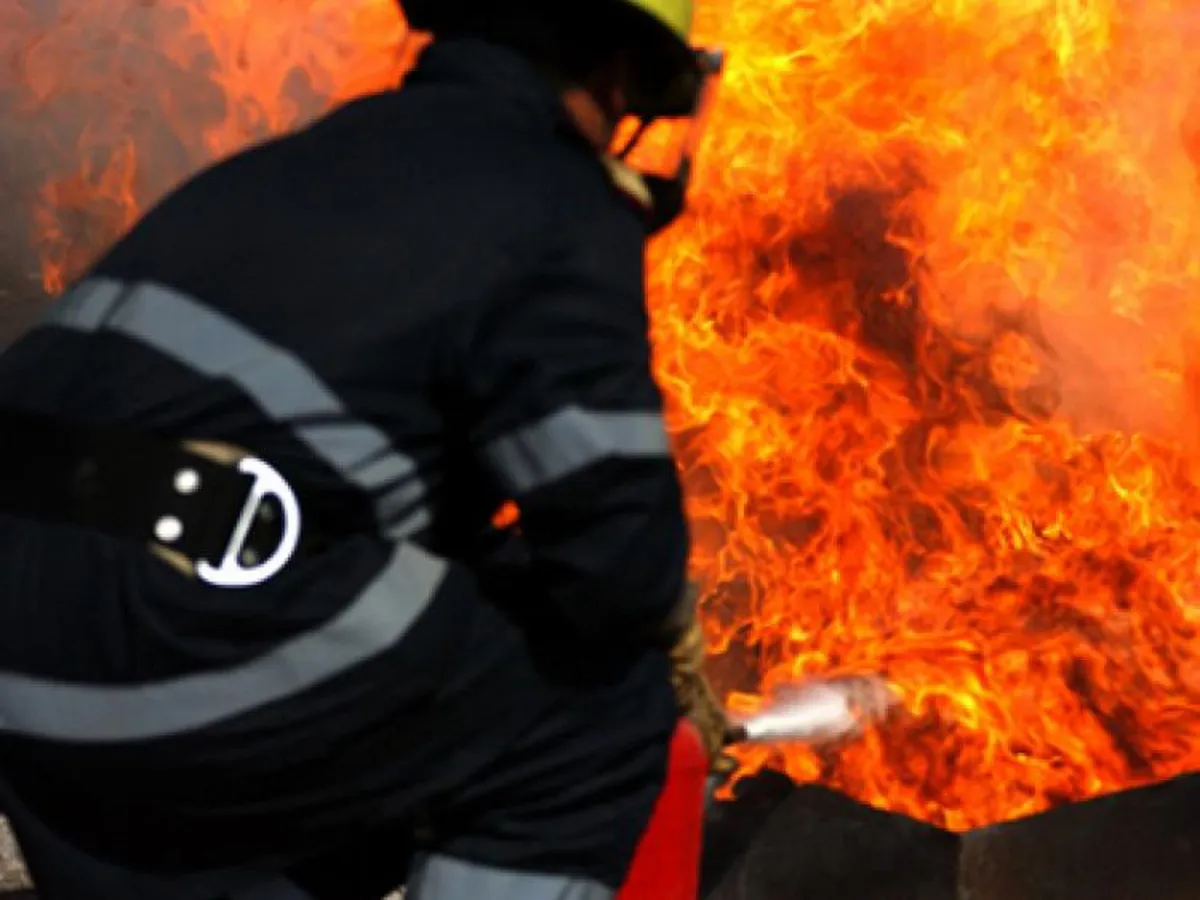 O persoană a fost rănită, iar zeci de animale au ars azi-noapte într-un incendiu în Prahova Foto: Știri de Cluj (fotografie cu caracter ilustrativ)