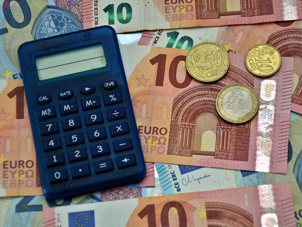 Cum vor primi firmele ajutor de stat 50.000 de euro, pentru salariile angajaţilor? - Foto: Profimedia Images