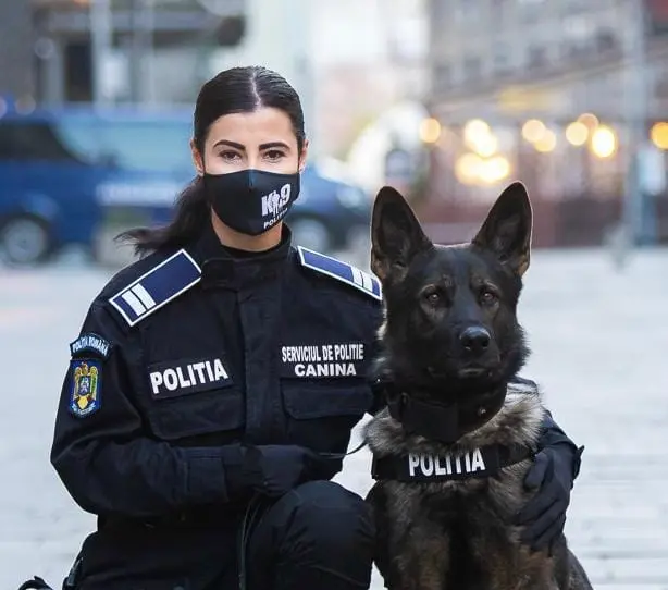 Poliția veghează/FOTO: Facebook