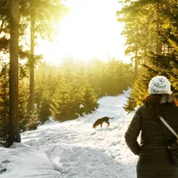 VREMEA de Revelion și Sfântul Ion va fi ca în povești. Cele mai ciudate temperaturi din ultimii ani - Foto: Pexels