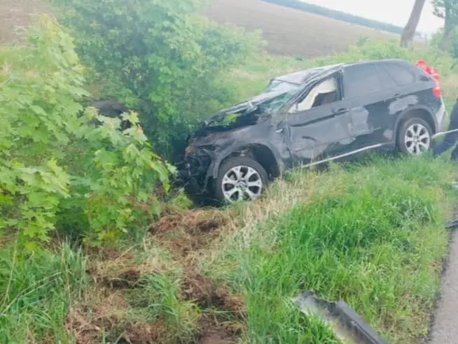 Accident frontal teribil, pe DN 15B, la Timişeşti. Un șofer de 78 de ani a murit. / Foto: Info Trafic 24, Facebook