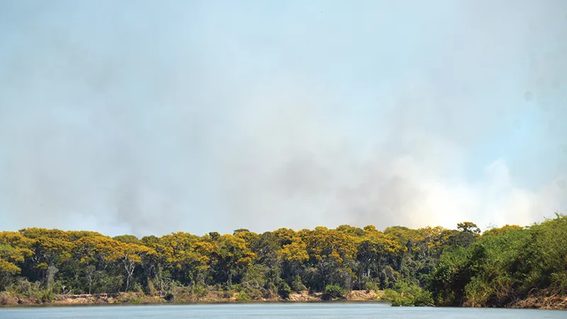 Incendiu în junglă braziliană