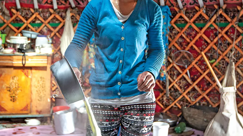 Byaslag, Mongolia