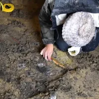 Necropolă imensă descoperită de arheologi în România. Ce au scos la lumină ? - Foto: Facebook