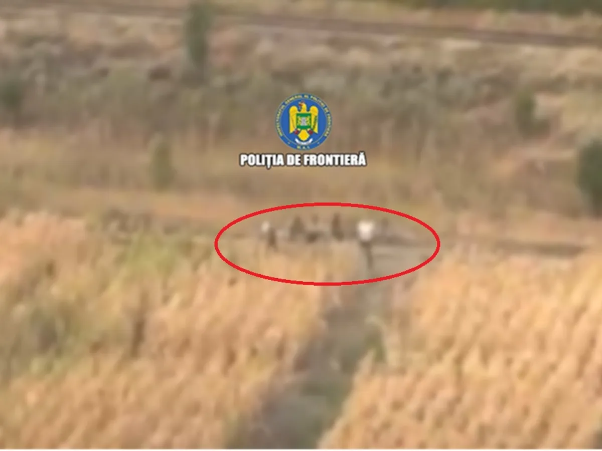 Migranții prinși după ce au intrat ilegal în România - Foto: captură Poliția de Frontieră