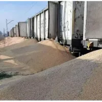 Pagubă enormă produsă de polonezi Ucrainei. 160 de tone de cereale, vărsate din vagoane - Foto: European Pravda