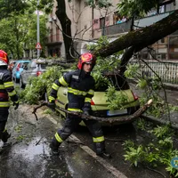 Prăpăd în Capitală după codul galben de vânt. 61 de copaci căzuți și 36 de autoturisme avariate - Foto: Facebook/ISUB-IF - Caracter ilustrativ