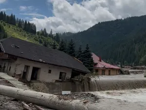 Case și mașini luate de viitură la Broșteni - Foto: Newsweek România