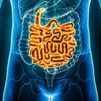 Ce au descoperit medicii în intestinele unui pacient. Au rămas șocați. „Era vie” - Foto: Profimedia / imagine cu caracter ilustrativ