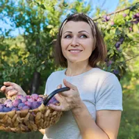 Fructul din copac, zemos și plin de vitamine. Slăbește și curăță colonul din câteva guri  - Foto: Freepik