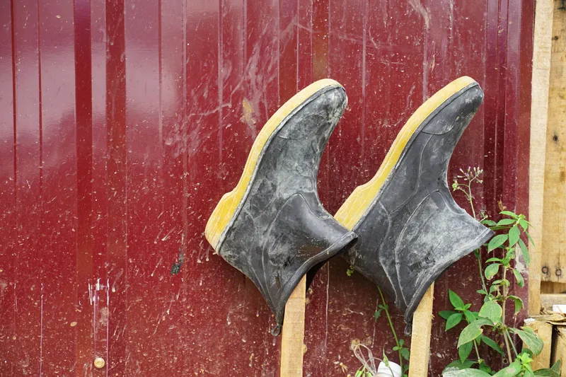 Cizme agățate - Foto: Freepik (Imagine cu rol ilustrativ)