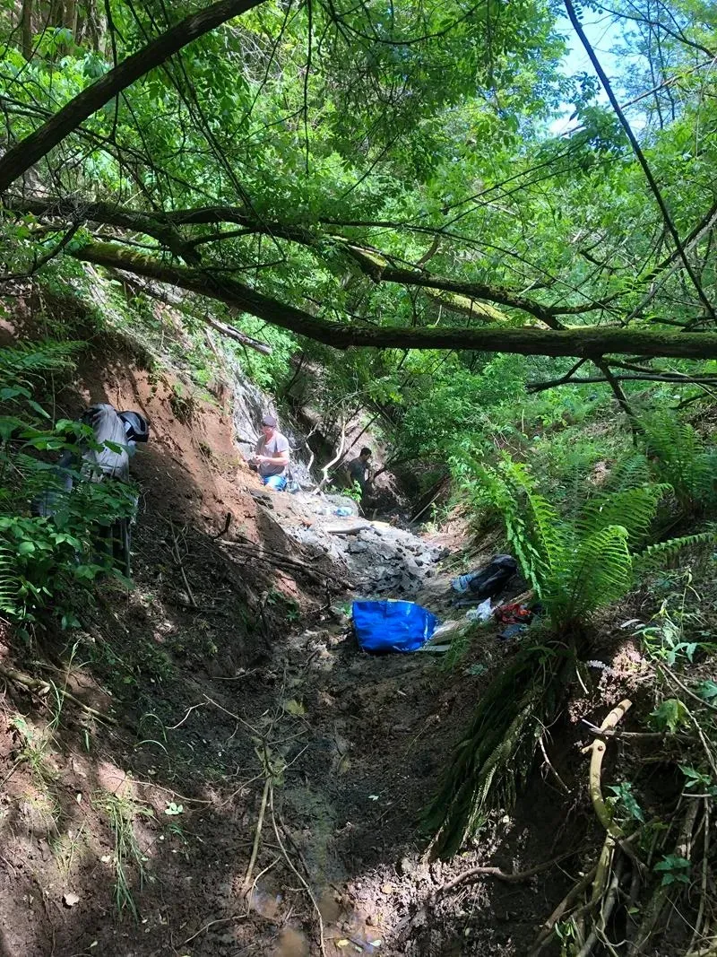 Descoperire în Transilvania - Foto: Elte