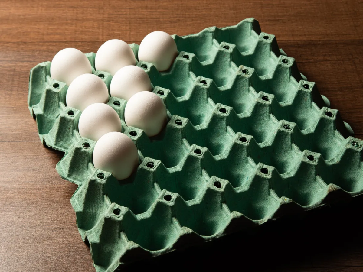 Cofrag de ouă - Foto: Freepik (Imagine cu rol ilustrativ)