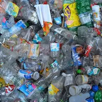 Doi tineri ieșeni vor să facă revoluție în reciclarea ambalajelor - Foto: Wikimedia/Celinebj/CC BY-SA 4.0