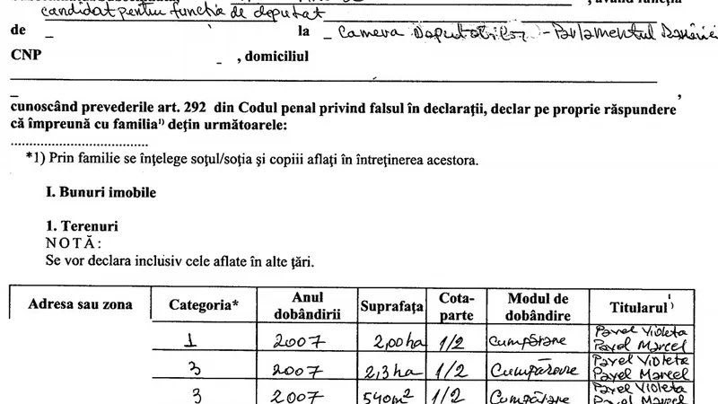 Sursa: Declarație de avere Marcel Pavel / ANI