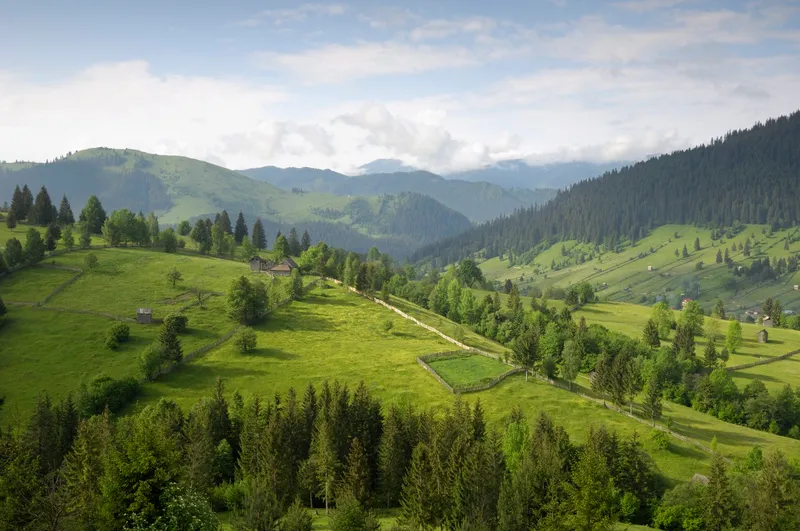 Bucovina - Foto: Profimedia Images (Imagine cu rol ilustrativ)