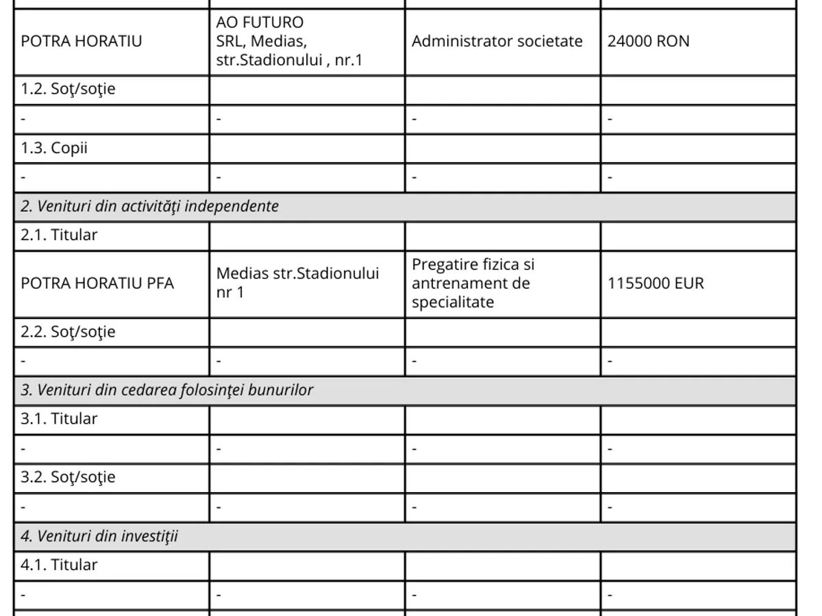 Declarație avere - Foto: ANI
