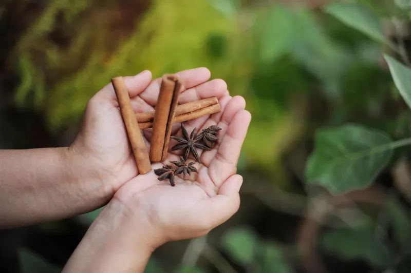 Persoană care ține scorțișoară &icirc;n m&acirc;nă - Foto: Freepik (Imagine cu rol ilustrativ)