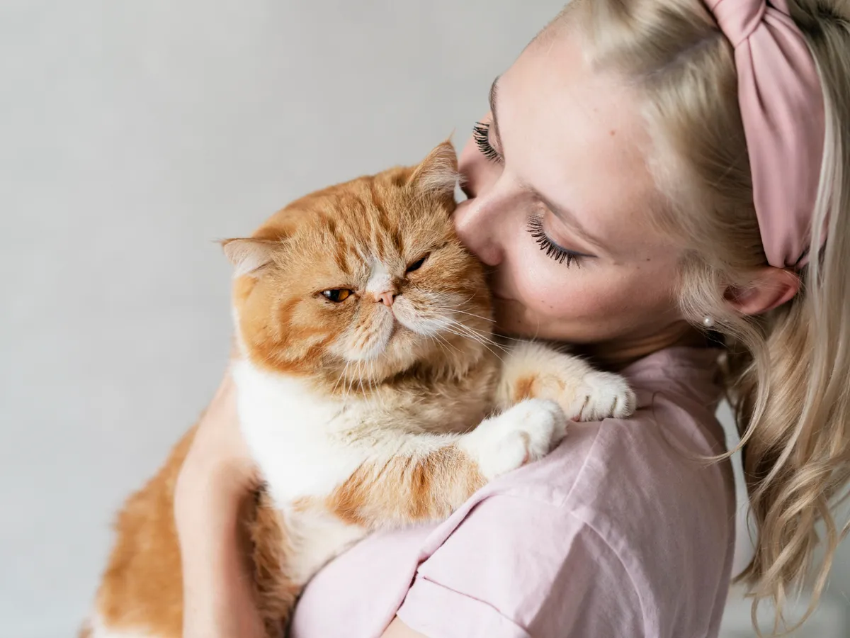 Este bine să-ți săruți pisica pe botic? Află ce spun veterinarii despre alintatul felinelor