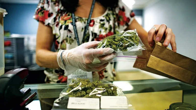 BANII SCHIMBĂ TOT. Un vânzător al Good Meds, un centru
pentru canabis
medicinal din
Lakewood, Colorado. Vânzările au ajuns la 9 miliarde de dolari în SUA în 2017 și ar putea crește până la
21 miliarde de dolari până în 2021