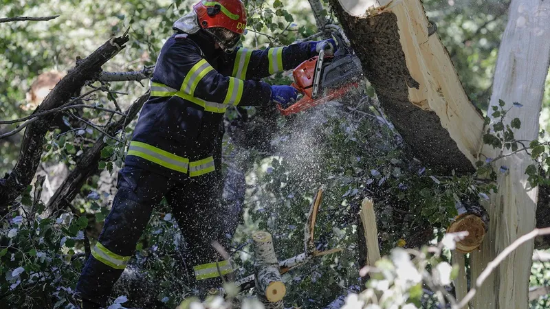 Vreme extremă în București. 19 acopaci, puși la pământ de vânt. 8 mașini au fost avariate FOTO: INQUAM PHOTOS/Octav Ganea