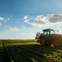 „Creditul Fermierului” le poate aduce românilor 50.000 euro în conturi, Ce condiții sunt? Foto: Shutterstock (fotografie cu caracte rilustrativ)