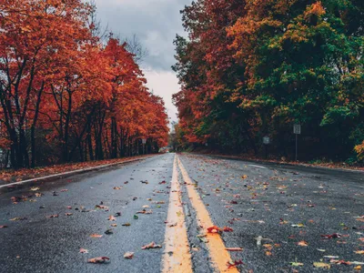 VREMEA ne ia prin surprindere în septembrie! Temperaturile scad cu cel puțin 10 grade în țară Foto: Pexels (fotografie cu caracter ilustrativ)