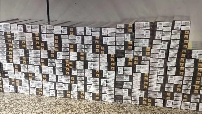 Mii de țigări de contrabandă, descoperite la Aeroportul "Henri Coandă" cu ajutorul câinelui Ebasa - Foto: Politia de frontiera