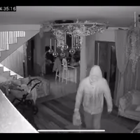 Casa atacată de hoță - Foto: captura