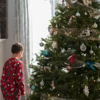 Bradul care se vinde în România cu 9.350 €. Costă cât o mașină second și poate fi cumpărat în rate - Foto: Profimedia Images/ Imagine cu caracter ilustrativ