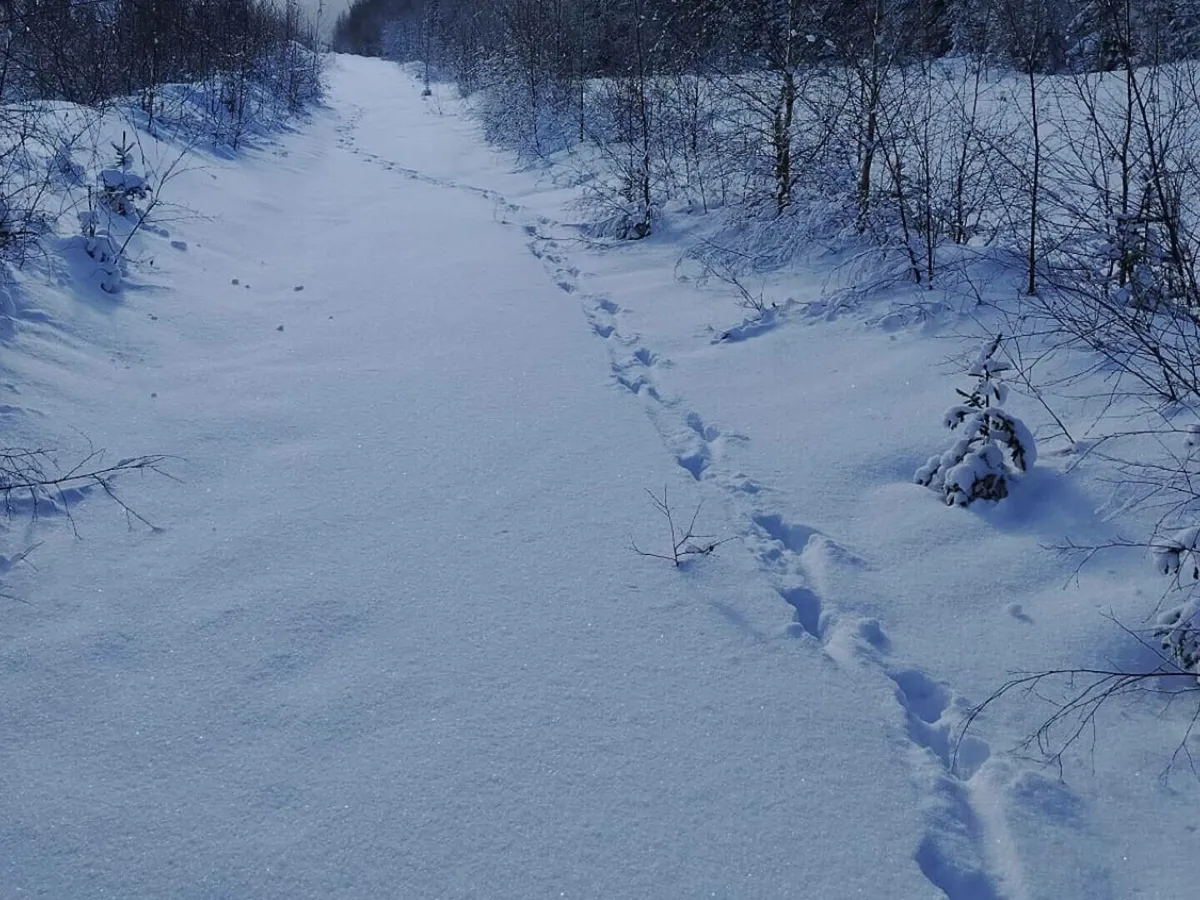 Avertisment Salvamont Suceava: zăpadă viscolită de până la doi metri şi risc ridicat de instabilitate