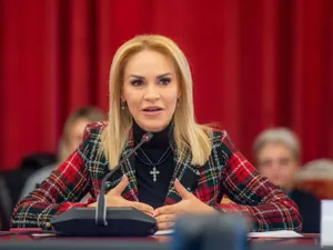 15.000 de lei pentru fertilizare in vitro. Firea: Cererile pot fi depuse on-line din 5 decembrie - FOTO: Facebook/Gabriela Firea