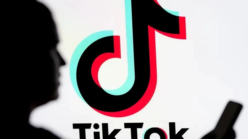 Alegeri prezidențiale: Videoclipuri de promovare pe TikTok ale unor candidați, șterse de BEC - Foto: Profimedia Images (Imagine cu rol ilustrativ)