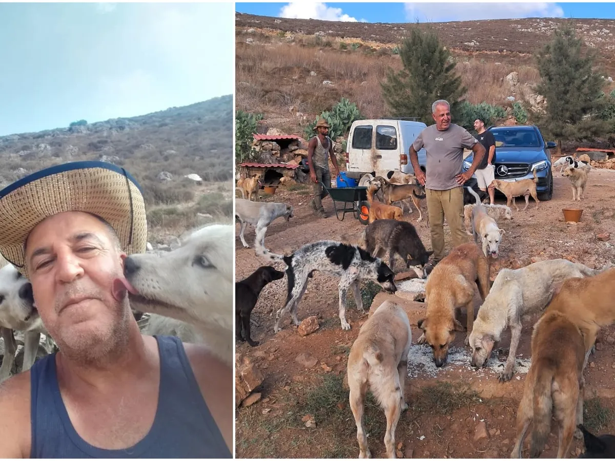 Îngerul câinilor abandonați în Liban de stăpânii alungați de război. A salvat peste 200 de suflete- FOTO: Facebook(imagine cu rol ilustrativ)