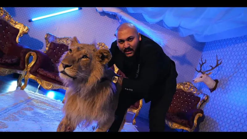 Leul rănit a fost găsit și dus la grădina zoologică/FOTO: YouTube (captură)