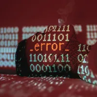 Softuri cu erori la două instituţii ale statului. Care sunt acestea? - Foto: Pexels/Nina Hill