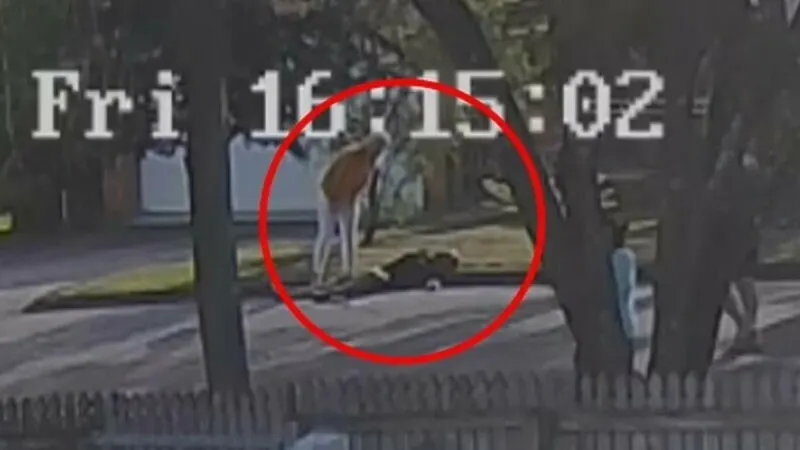 Femeia care și-a urmarit soțul care-i spusese că ia copiii de la grădiniță a avut parte de o surpriză neplăcută Foto: NINE