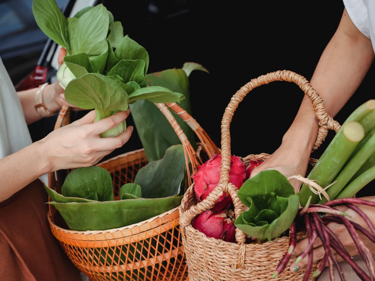 Recoltare de legume în seră - Foto: Pexels/Sam Lion